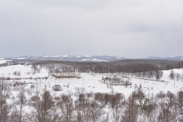 雪国の厳しい冬景色