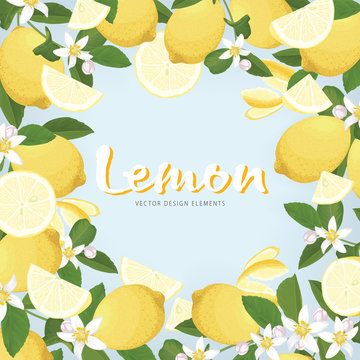 Fruit frame of lemon with flower on blue background template. Vector set of herbal element for advertising, packaging design of lemon tea products and fashion design.