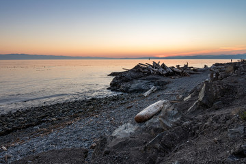 piles of drift woods at beach facing the ocean at sunset