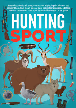 Hunting sport equipment and wild animals