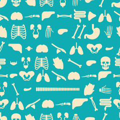 Human anatomy pattern seamless. Skeleton and Internal organs background. Systems of man body and organs ornament. medical systems texture. vector illustration