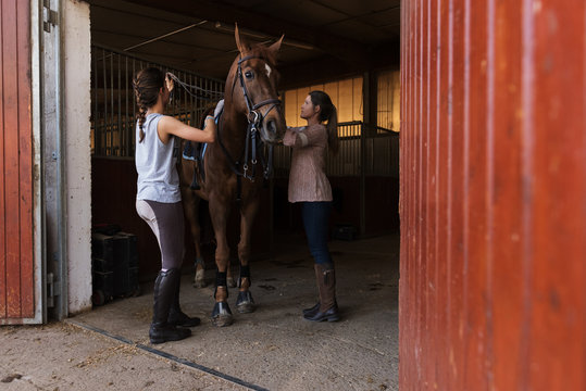 Young women preparing horse for riding