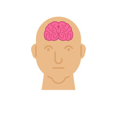 Braiin in head Human anatomy. Internal organs. vector illustration