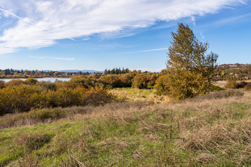 Obraz premium open field under the cloudy blue sky filled with Autumn colour