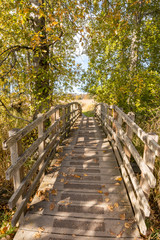 wooden bridge surrounded by autumn foliage led to open field on a sunny day
