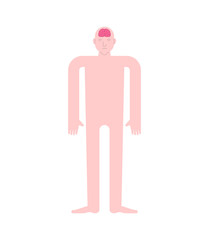 Braiin in head Human anatomy. Internal organs. Systems of man body and organs. medical systems. vector illustration