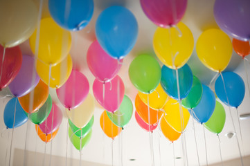 Colorful Balloons Filled With Helium Float On The Ceiling