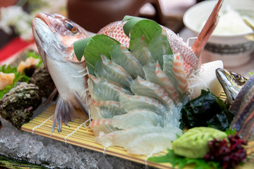 お造り　刺身　鮪　アジ　鯵　新鮮　姿　食事　日本料理　大葉　SASHIMI ...