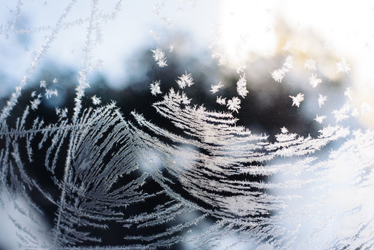 Beautiful Frost Macro