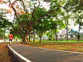 a walkway in the park and a man is walking in the fresh environment