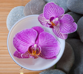 Pink orchid in bowl and stones on mat background