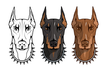 doberman pinscher, american doberman, pet logo, dog doberman, colored pets for design, colour illustration suitable as logo or team mascot, dog illustration, vector graphics to design