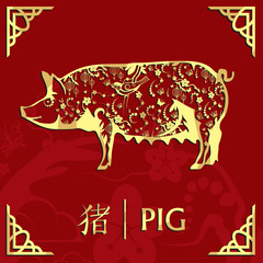 Year of the pig, happy chinese new year, pig illustration