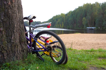 Fototapeta premium Two bicycles adult and children parked near the big trunk on the shore of forest lake