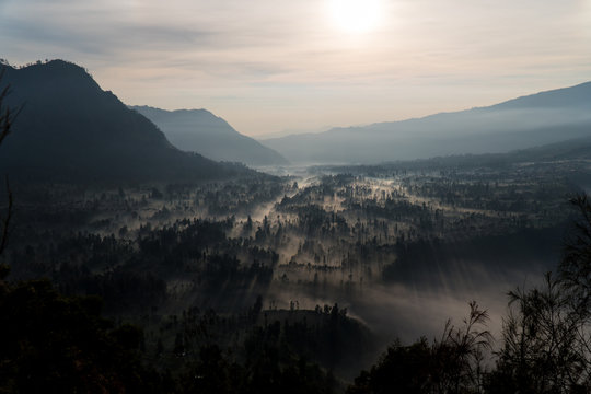 Sunrise shining through a foggy forest
