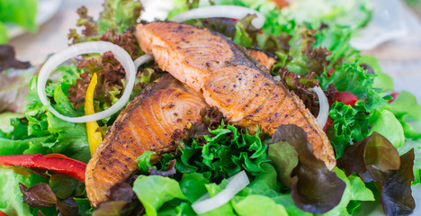 Mouthwatering salmon salad green, clean and heathy food.