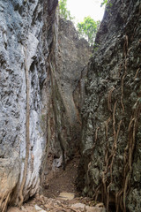 A narrow canyon with two steep, tall and huge limestone faces with tree roots. It's a popular rock climbing site in Vang Vieng, Laos.