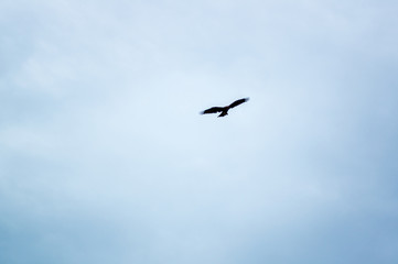 飛騨高山の古きよき町並み