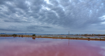Pink salt pool at sunrise with dark clouds
