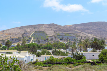 Lanazarote island landscape, typical view with white houses, green palm trees and black mountain. Beautiful nature background.