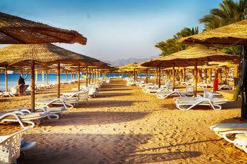 beach in the egypt