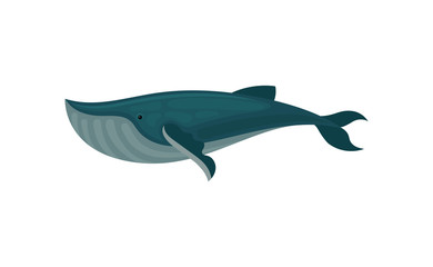 Fototapeta premium Flat vector icon of blue whale. Large marine mammal. Sea animal. Element for children book or mobile game