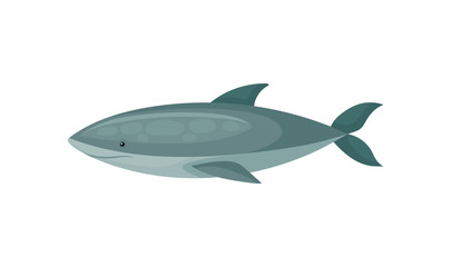 Flat vector icon of blue shark. Long-bodied marine fish. Sea and ocean life theme