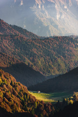 Small house alone in the forest