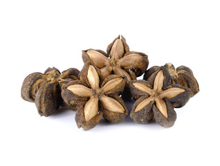 sacha inchi peanut seed on white background