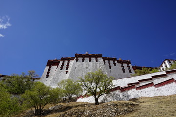 Fototapeta na wymiar Potala palace in Tibet