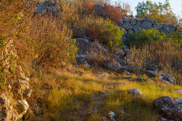 Fototapeta premium autumn landscape in the mountains