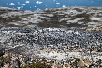 Die Wildnis Grönlands