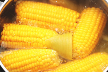 Yellow corn stew in a saucepan. Flavored dinner