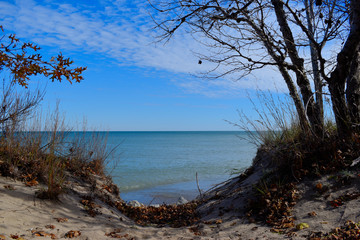 autumn trees and blue sky 