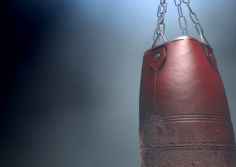 Worn Leather Punching Bag