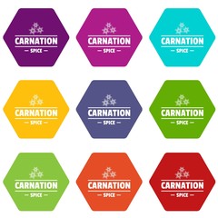 Carnation spice icons 9 set coloful isolated on white for web