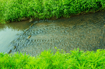 復元された花巻城跡