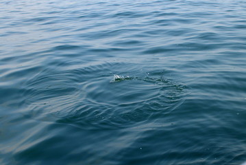 ripples on water