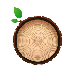 Texture of sawn wood brown object with foliage vector