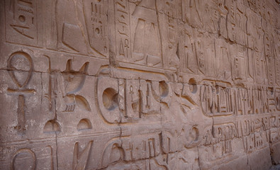 hieroglyph texture from Egypt karnak