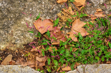 復元された花巻城跡