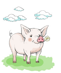 Cute piglet with rosy pink cheeks is standing on the grass. In the mouth eats a flower chamomile. In the sky cumulus clouds. Illustration in watercolor style