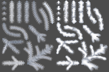 Set of White Coniferous Branches - Colored Illustrations and Design Elements for Your Graphic Design with Winter or Christmas Composition, Vector