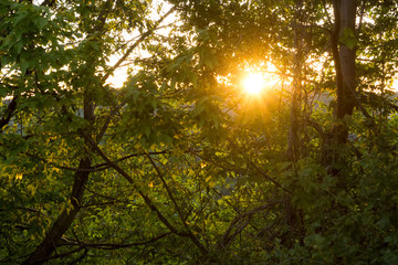 Sunset orange sun