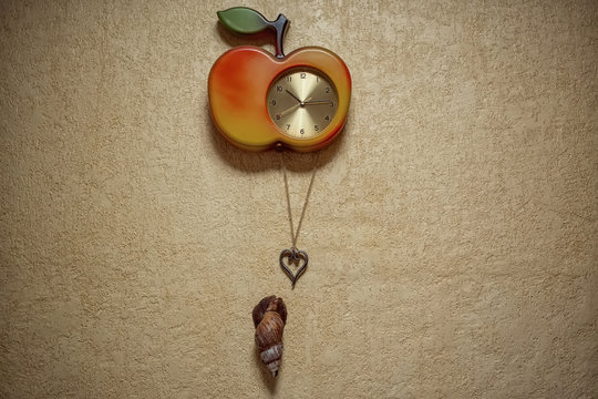 Achatina snail on the wall