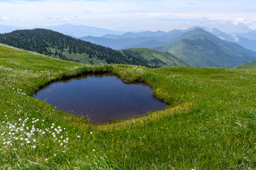 巻機山の頂上付近の風景