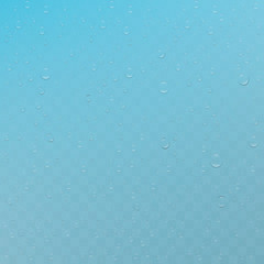 Realistic water drops on transparent background. Rain droplets for transparent surface. Pure water bubbles isolated. Vector clear vapor water bubbles on window glass surface for your design.