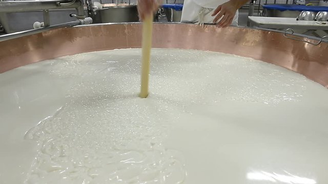 CASEIFICIO LAVORAZIONE PARMIGIANO REGGIANO