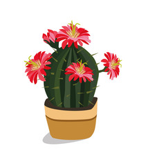Cactus with a red flower in a pot. Vector illustration.