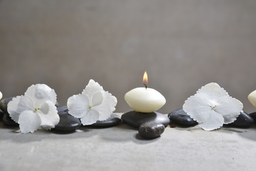 Fototapeta na wymiar hydrangea petals with black stones,candle on gray background